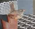  Fliegengitter, Fliegendraht, Fliegen, Draht, Gitter,Insektenschutz,Insektenschutzgitter