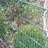 H�he 1430 mm gr�n, Gittermatte 6+5+6 CS