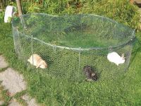 Kleintiergehege