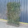 Hecke am laufenden Meter® Hecke am laufenden Meter®