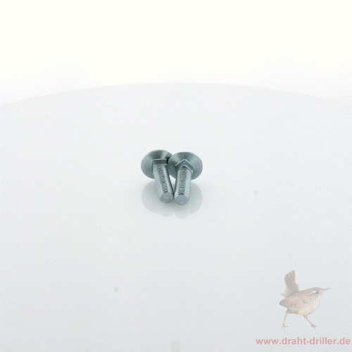 Schlossschraube M10 x 35 mm verzinkt