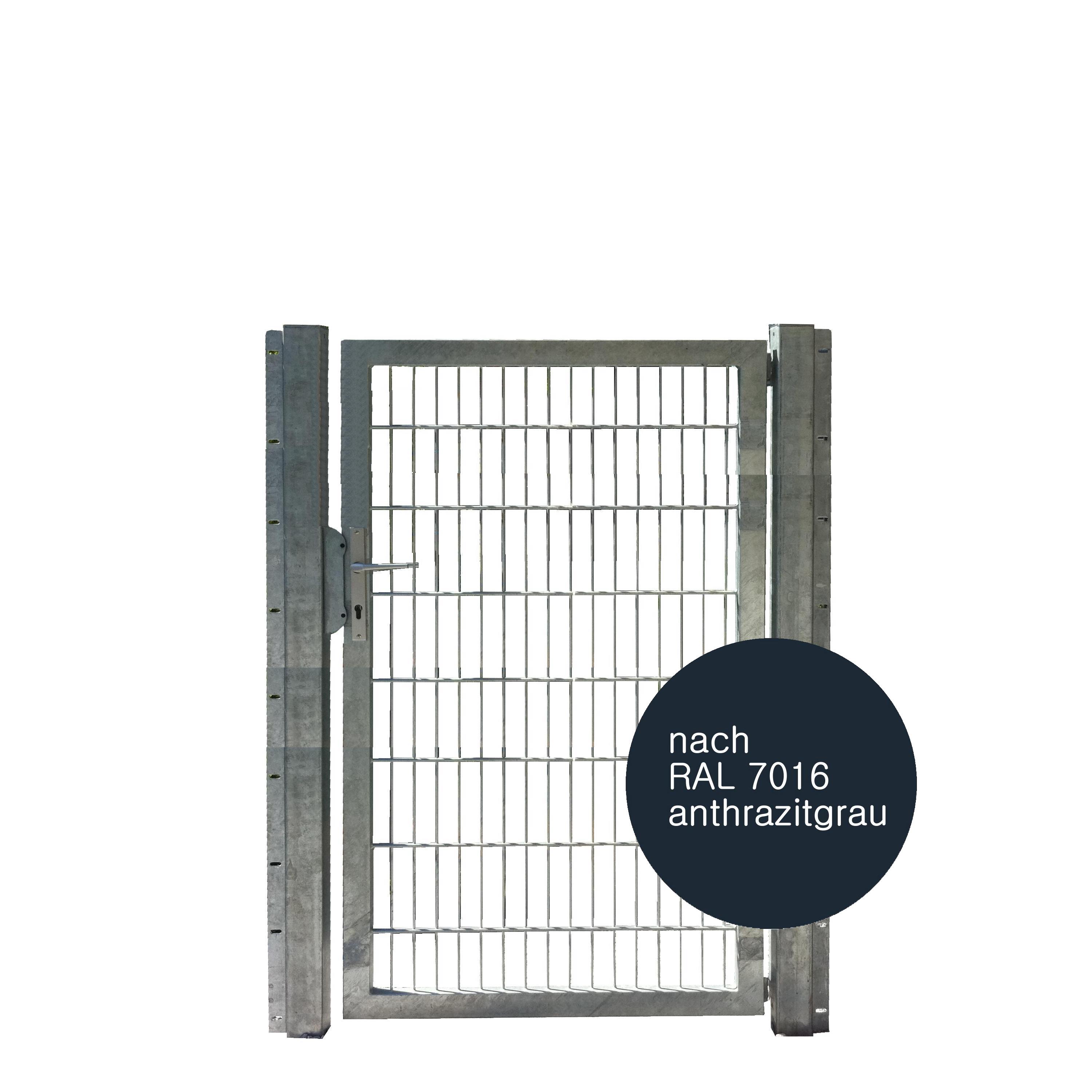 Tor 1-flgl. 1000x1600 mm anthrazit, IGT Vario
