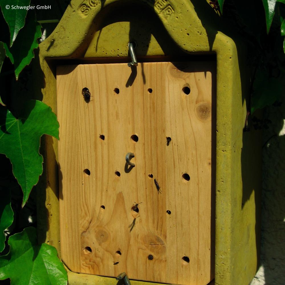 Insektennisthaus Forscher einsehbar