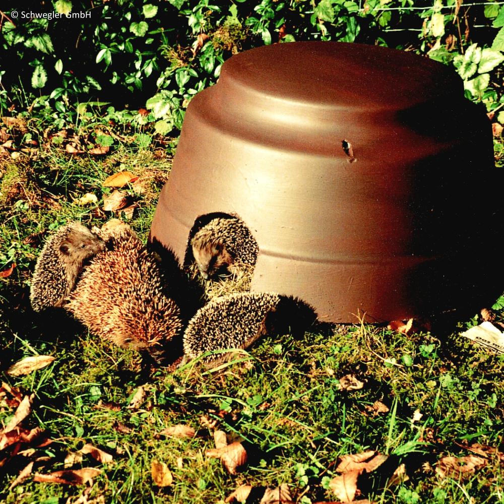 Igelkuppel mit Isolierboden