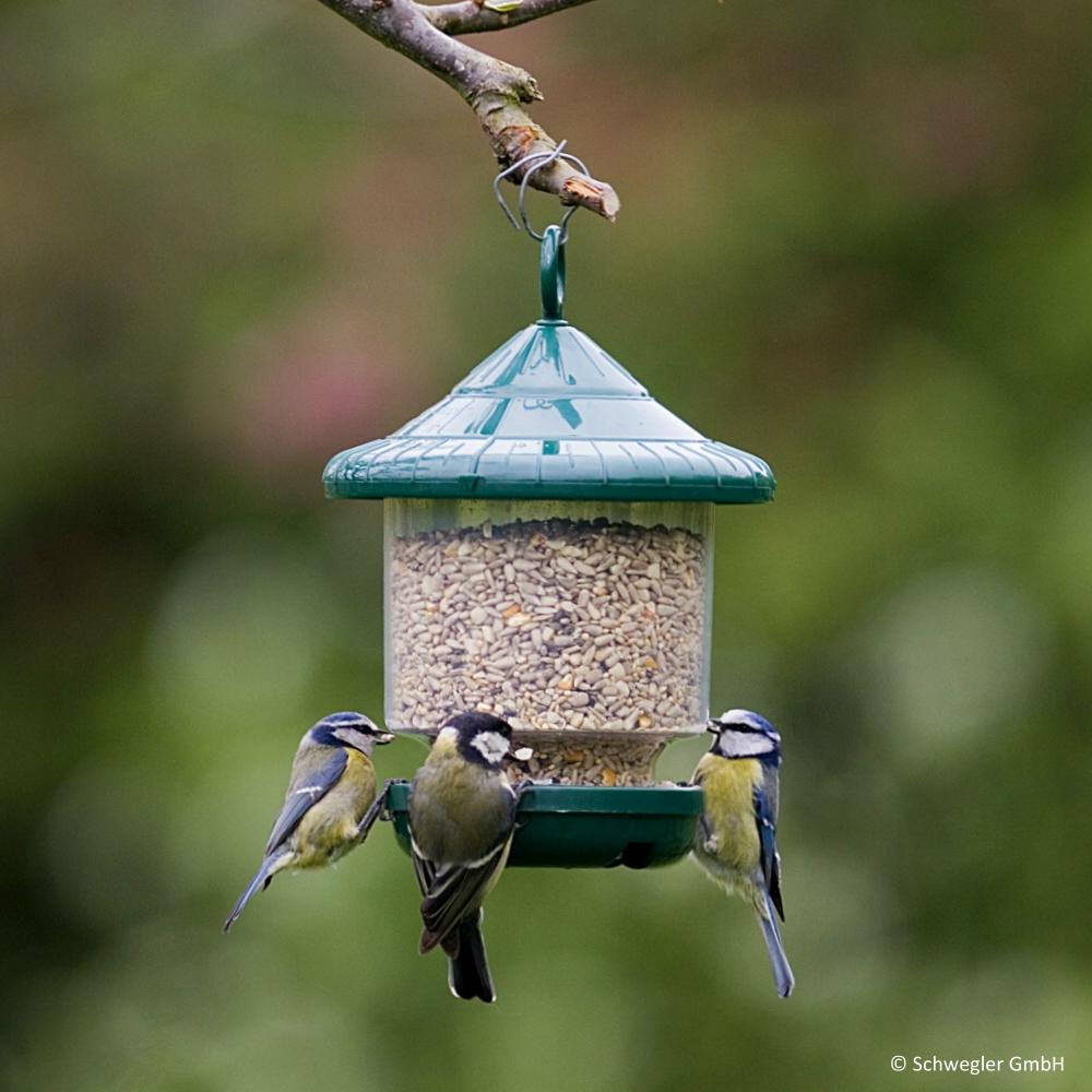Vogelfutterspender Futterlampe
