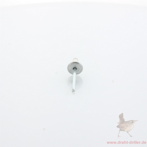 Blindniete Flachrundkopf 4,8 x 12 mm