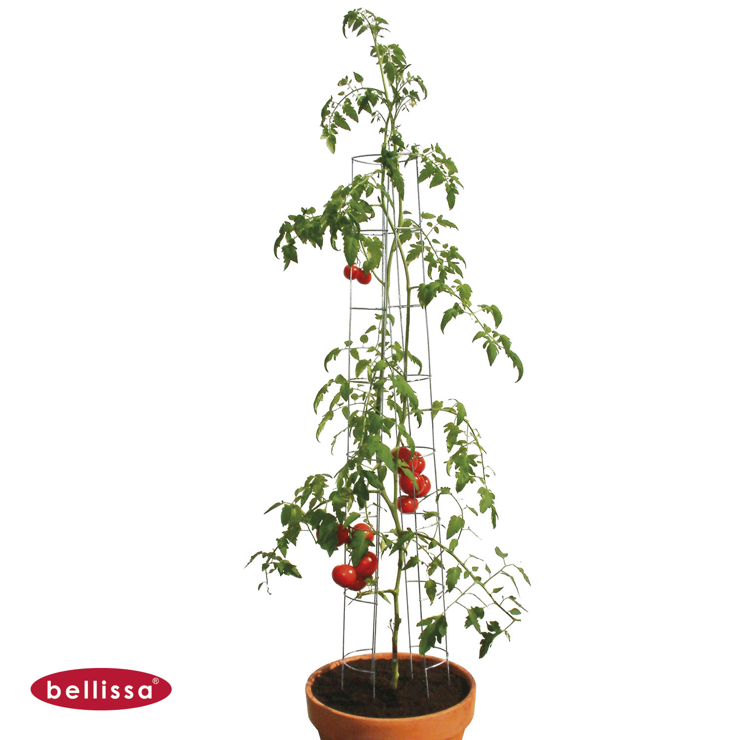 Gemüseturm Tomate 1200 x 130 mm