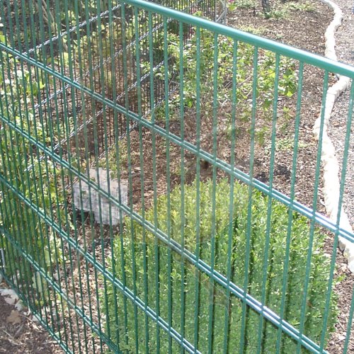 Höhe 1230 mm grün, Gittermatte 6+5+6 CS