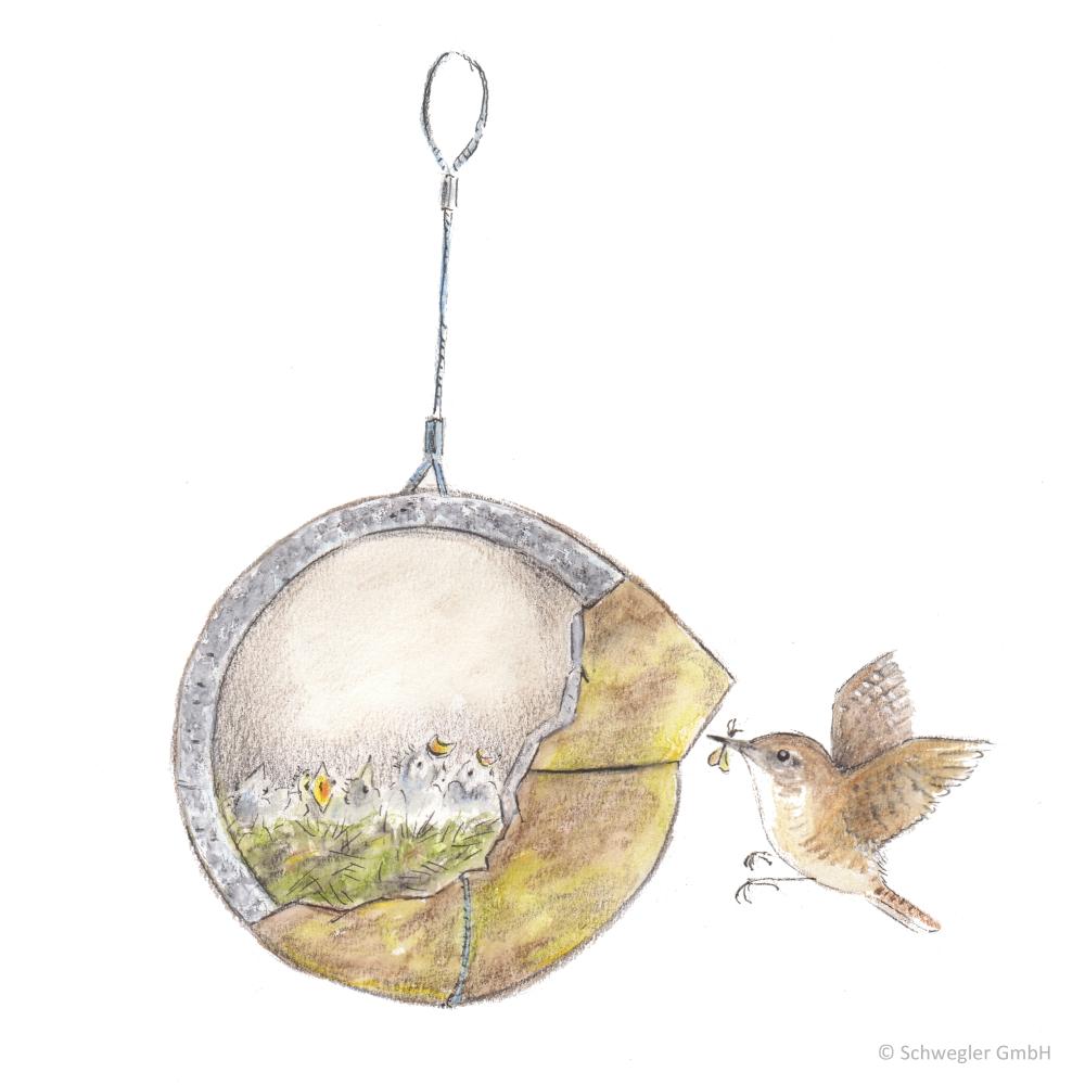 Zaunkönig Nest, Nist Kugel Herbstlicht / rot
