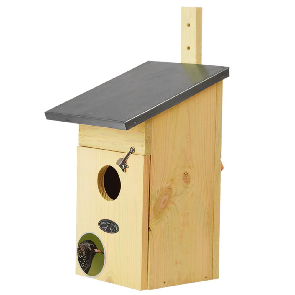 Vogelhaus Nistkasten Star