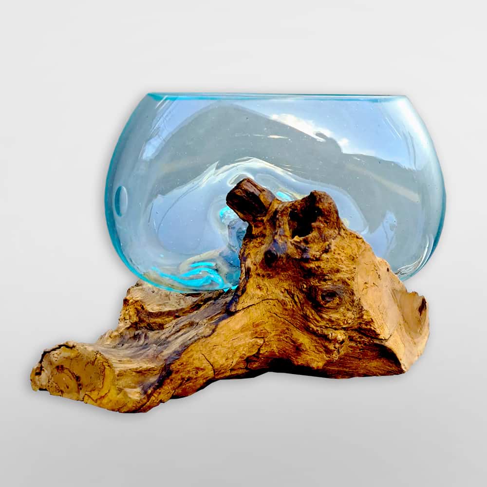 Wurzelholz mit Glas - Schale glasklar