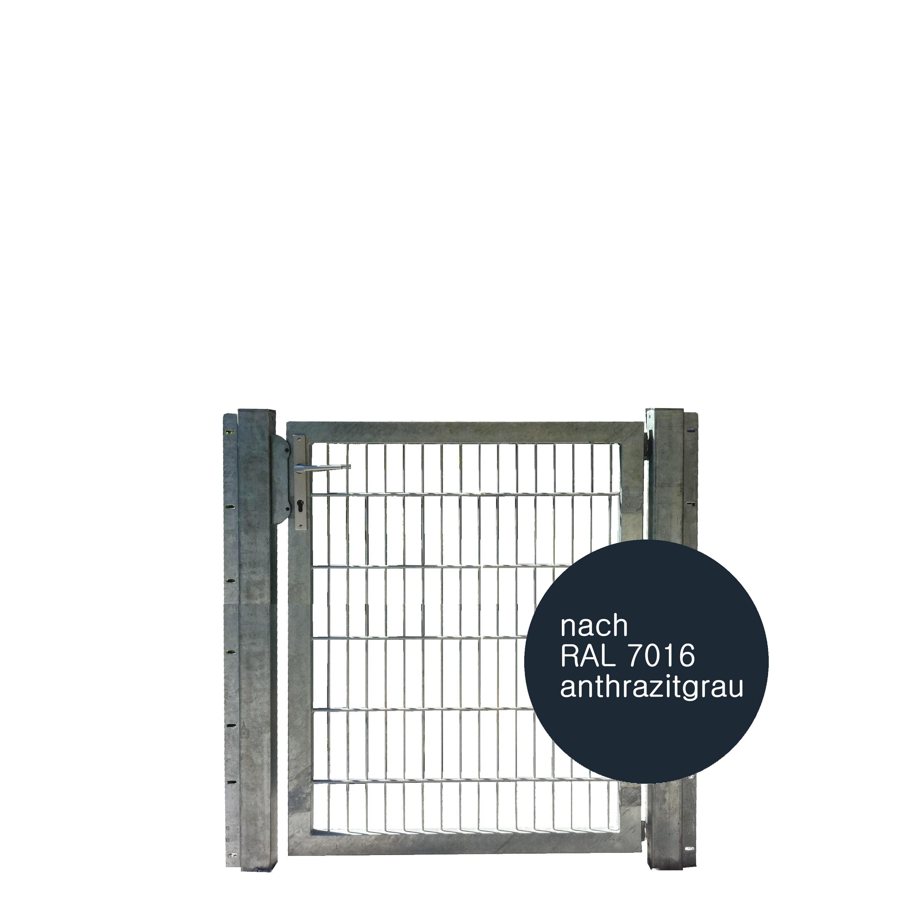 Tor 1-flgl. 1000x1200 mm anthrazit, IGT Vario