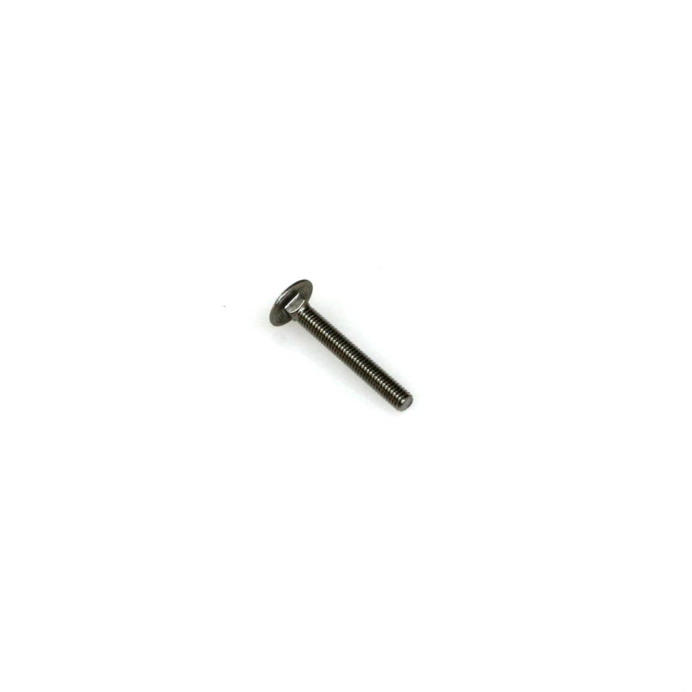 Schlossschraube M06 x 45 mm V2A