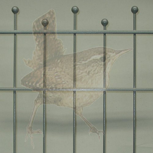 Höhe 1500 mm, Gittertyp Arte-Bola, beschichtet
