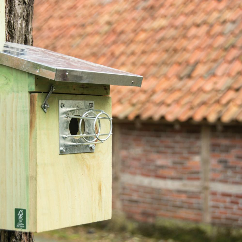 Vogelhaus Eichhörnchen- und Maderschutz