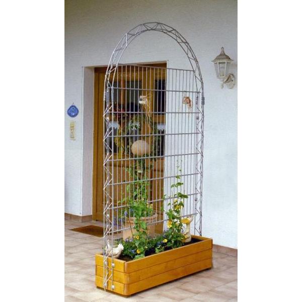 Rank-Sichtschutz Gloria 1520 x 3310 mm