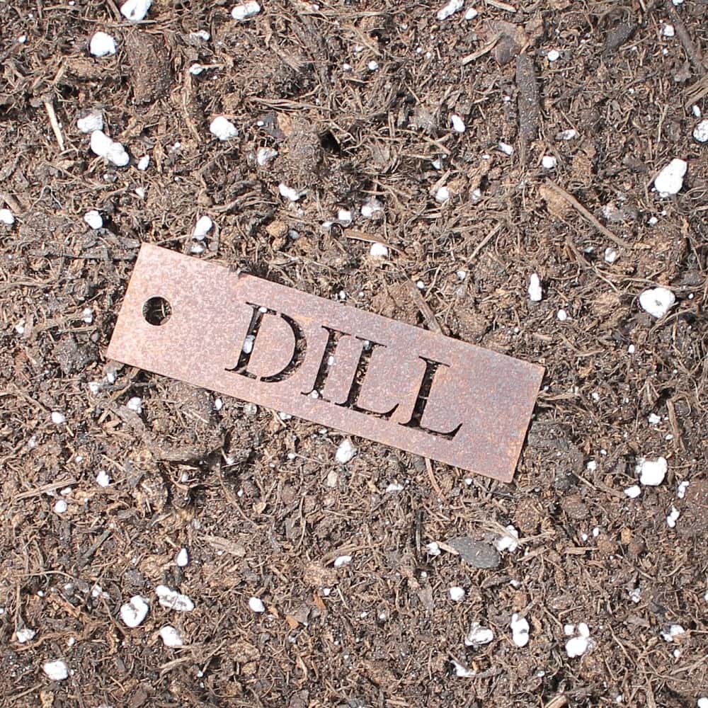 Rost Kräuterschild Dill