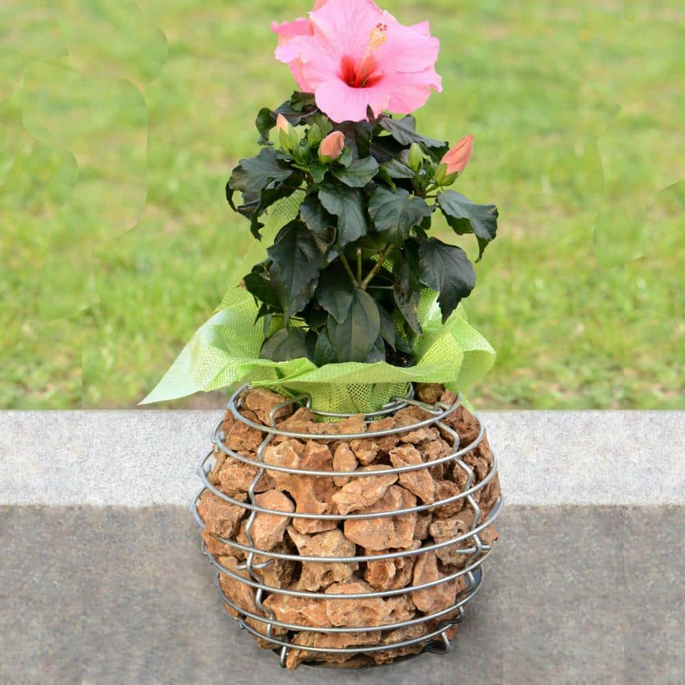 Design-Gabione Pflanzkorb Kugel M