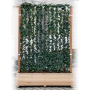Hecke am laufenden Meter® 1200 x 1800 mm Holzkübel eur. Holz