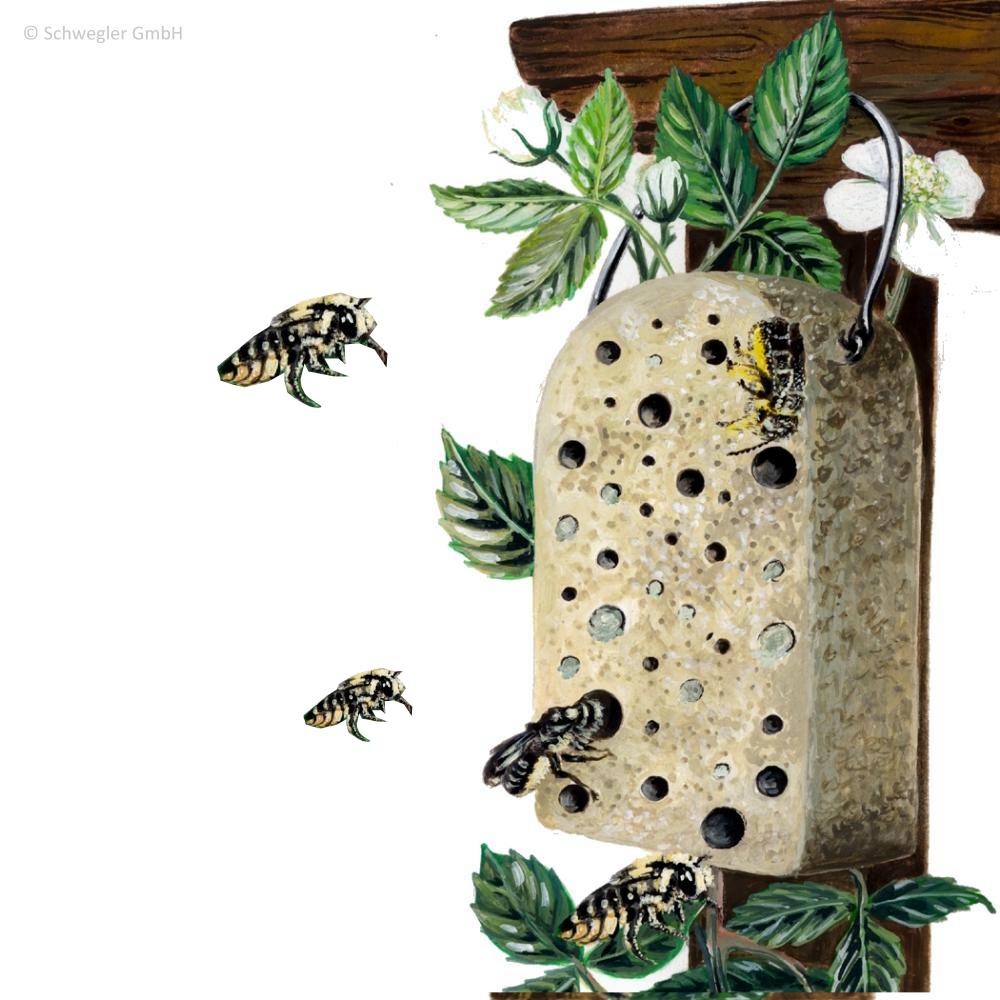 Insektenblock Holzbeton