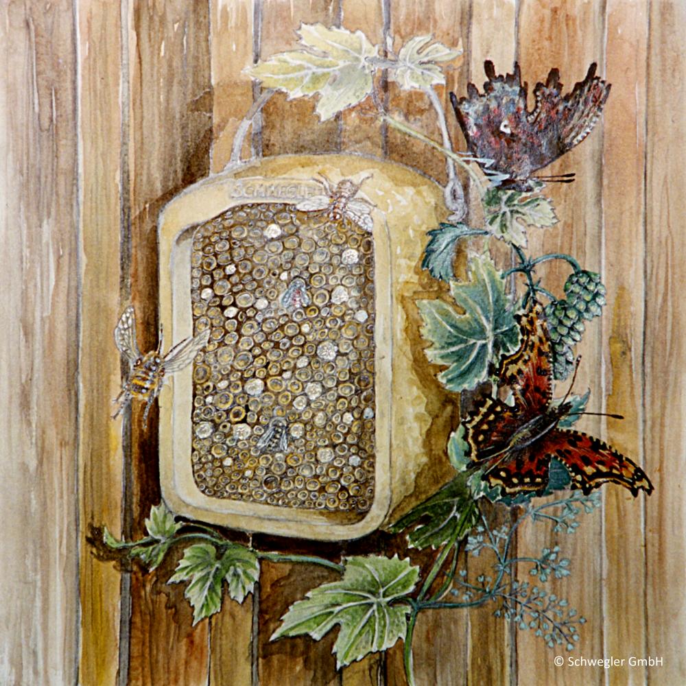 Insektennistwand Schilf