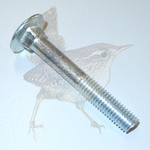 Schlossschraube M10x070 mm TG verzinkt