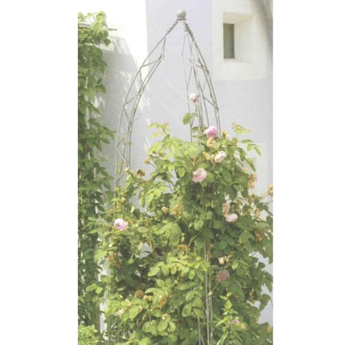 Rank-Obelisk Angelina 510 x 2500 mm