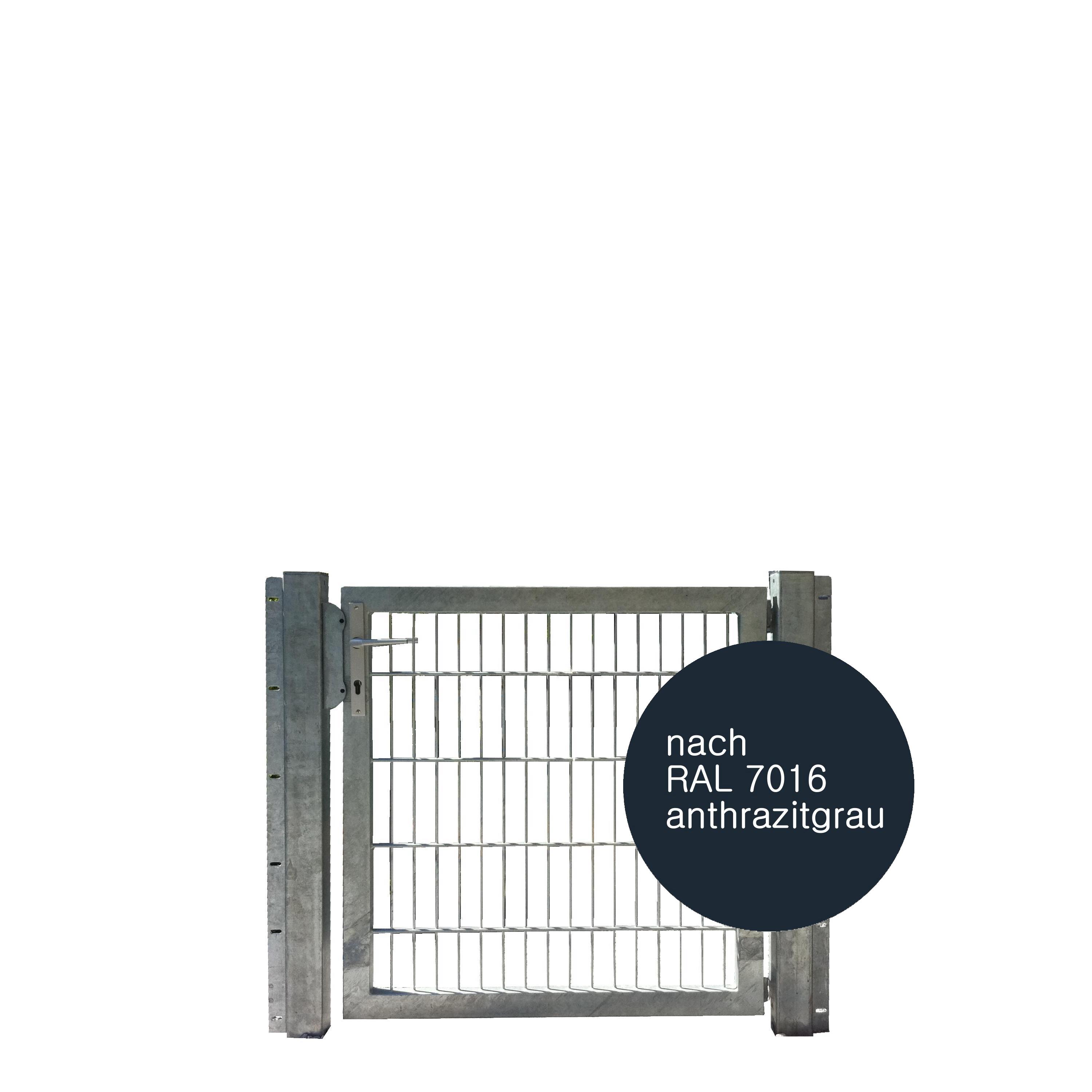 Tor 1-flgl. 1000x1000 mm anthrazit, IGT Vario