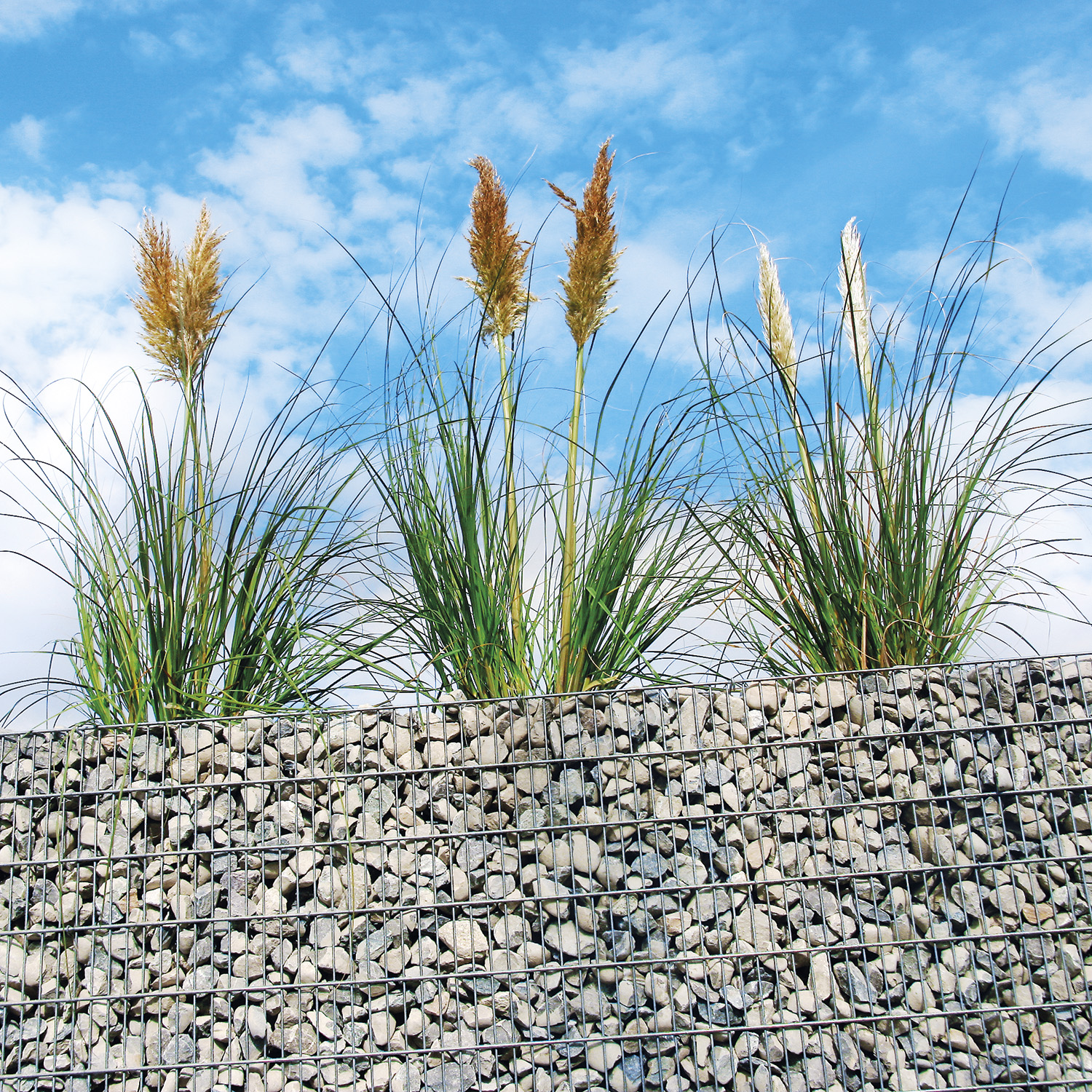 Gabione Hochbeet 2000 x 1000 x 1200 mm premium