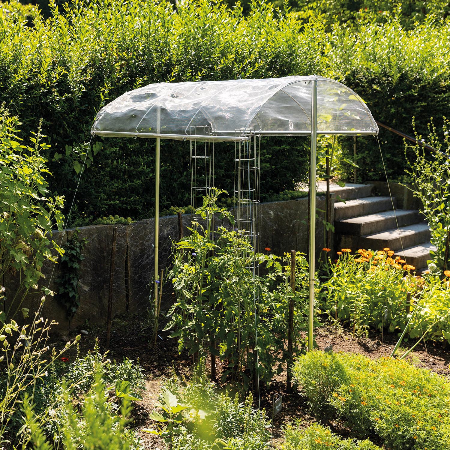 Tomatendach Aluminium Netz