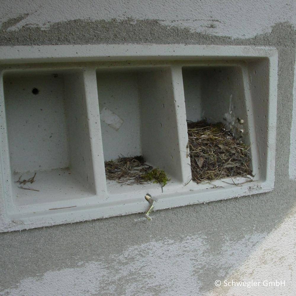 Sperlingskolonienhaus 1SP