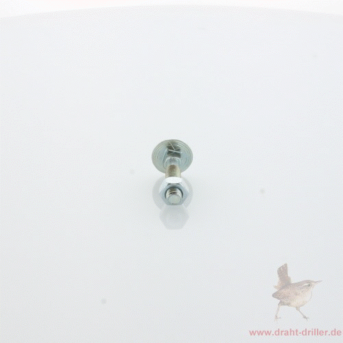 Schlossschraube M06 x 30 mm verzinkt mit Mutter
