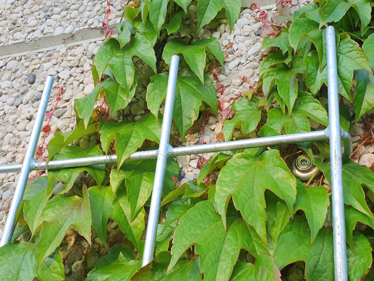 Wandrankgitter 1500 x 600 mm blank
