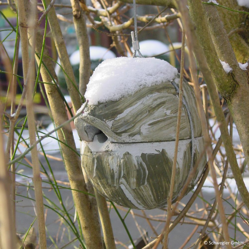 Zaunkönig Nest, Nist Kugel Efeu / grün