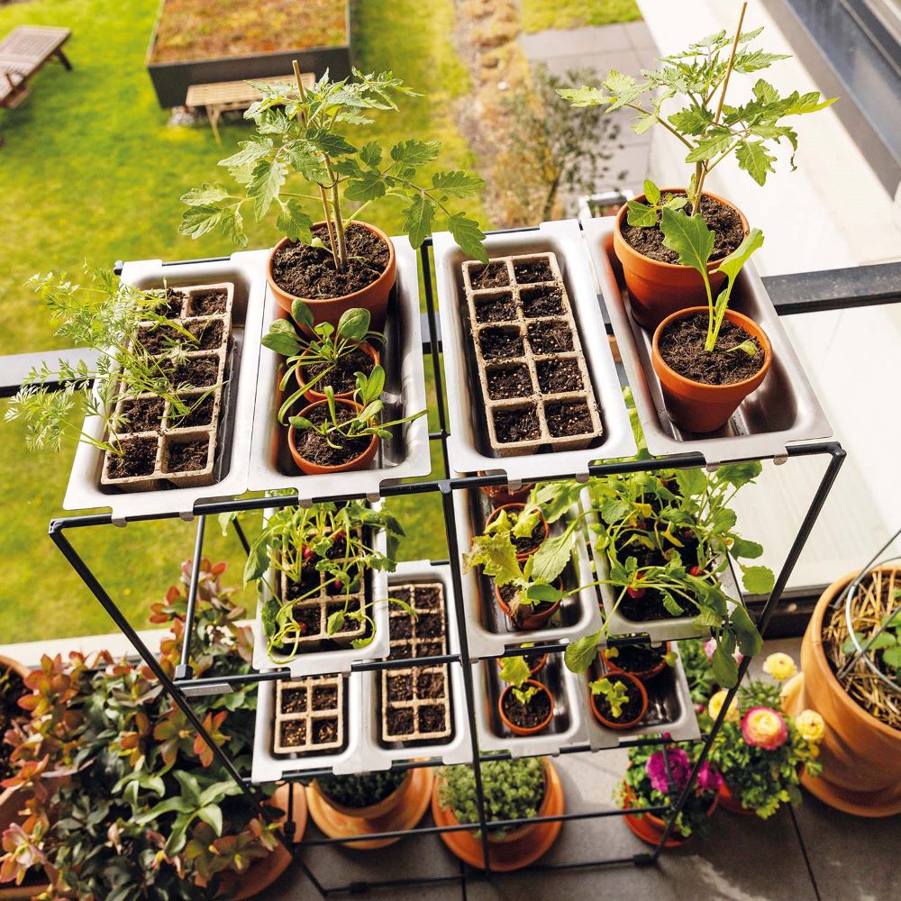 Pflanzregal FILO Anzuchtwannen 2er SEt