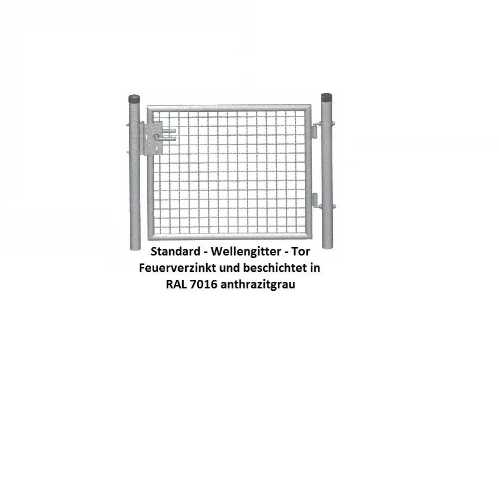 Gartentor 1000 x 0800 mm RAL 7016 anthrazit