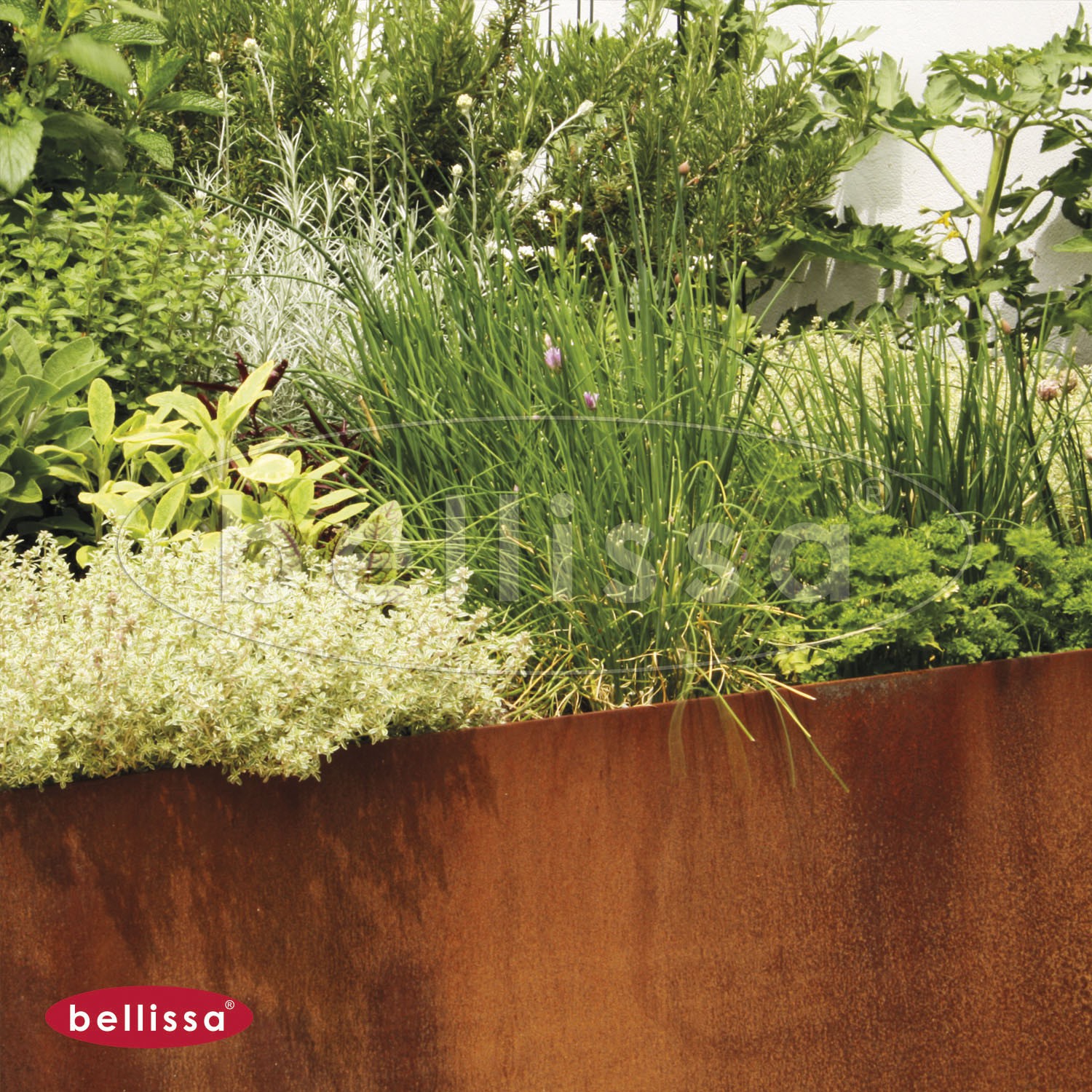 Pannello System - Hochbeet Bausatz 1160 x 500 x 440 mm