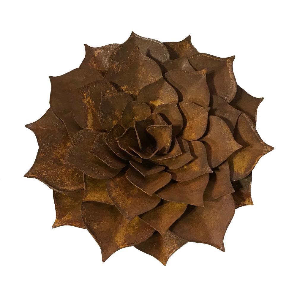 Rost Dekoration Blüte Echeveria flach
