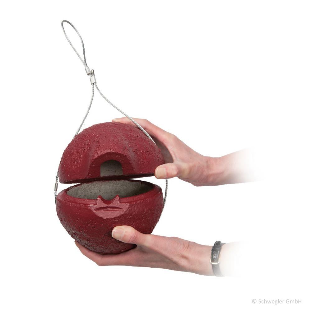 Zaunkönig Nest, Nist Kugel Herbstlicht / rot