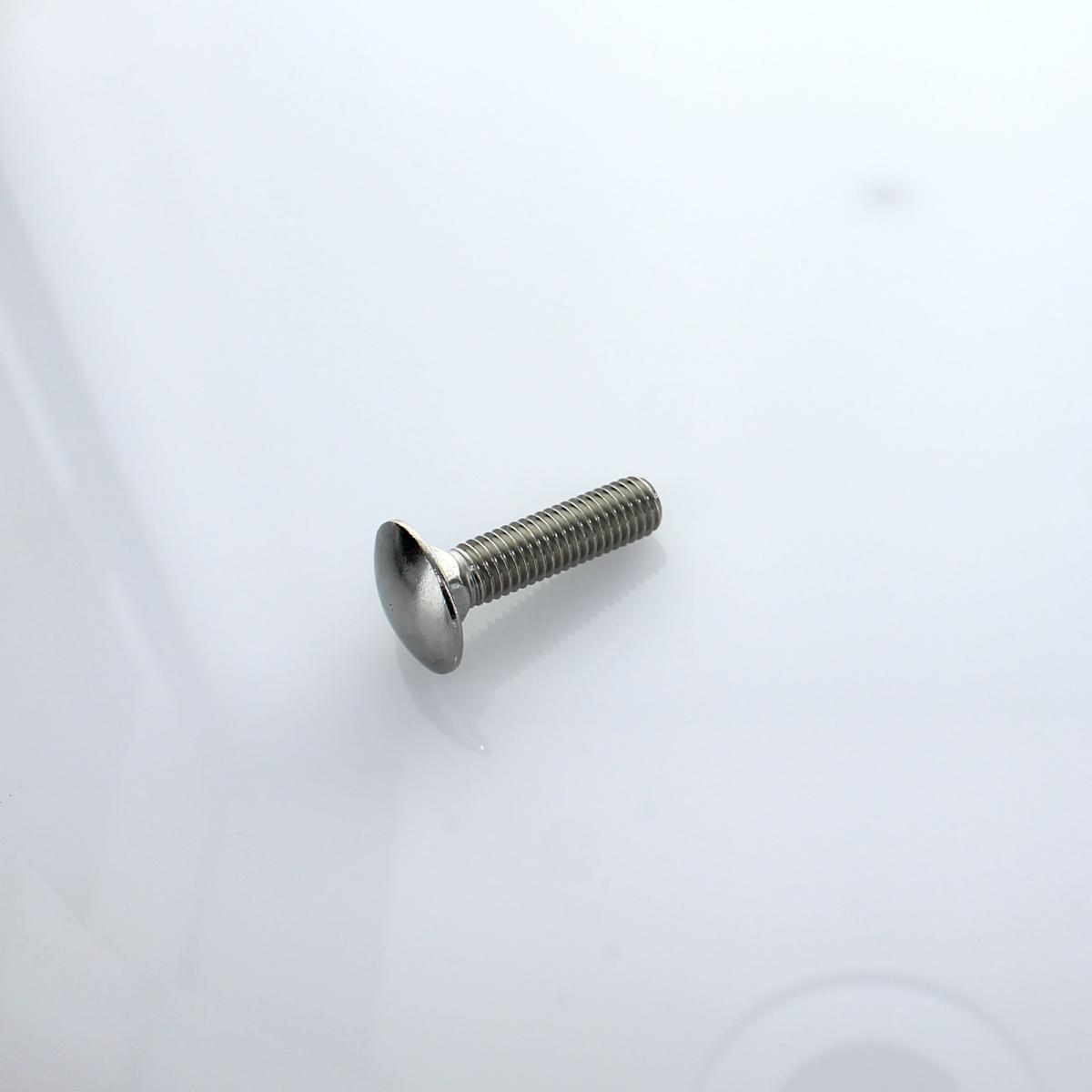 Schlossschraube M10 x 40 mm V2A