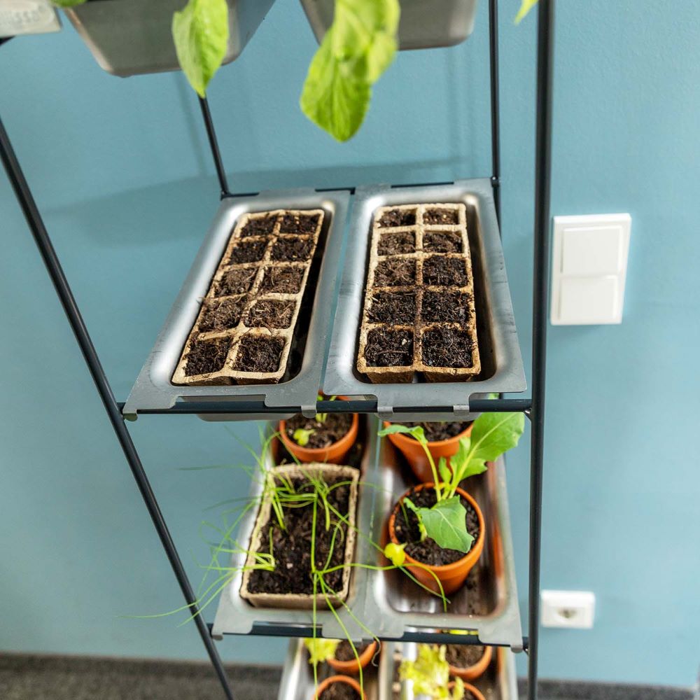 Pflanzregal FILO 1X6 - Ohne BÃ¶den