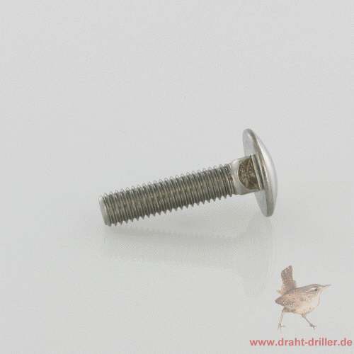 Schlossschraube M08 x 25 mm V2A