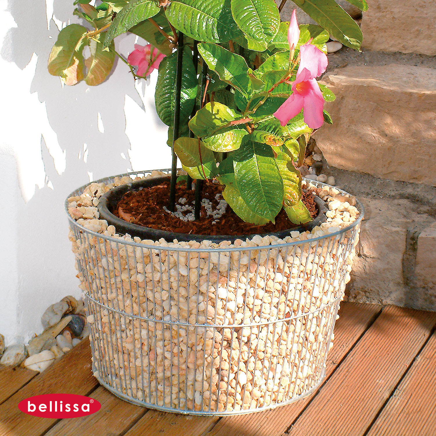 Gabione Blumentopf Ø 540 x 330 mm konisch