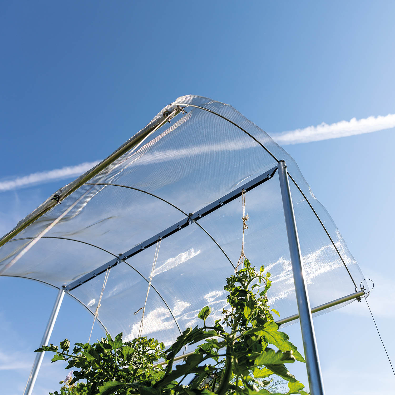 Tomatendach Aluminium Netz