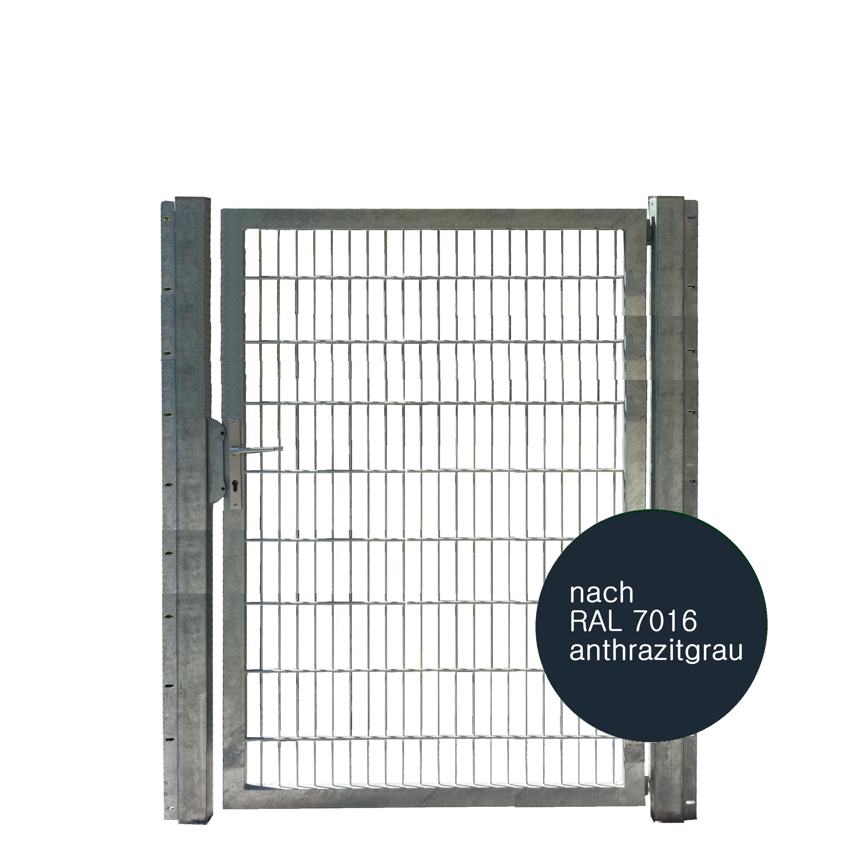 Tor 1-flgl. 1250x1800 mm anthrazit, IGT Vario