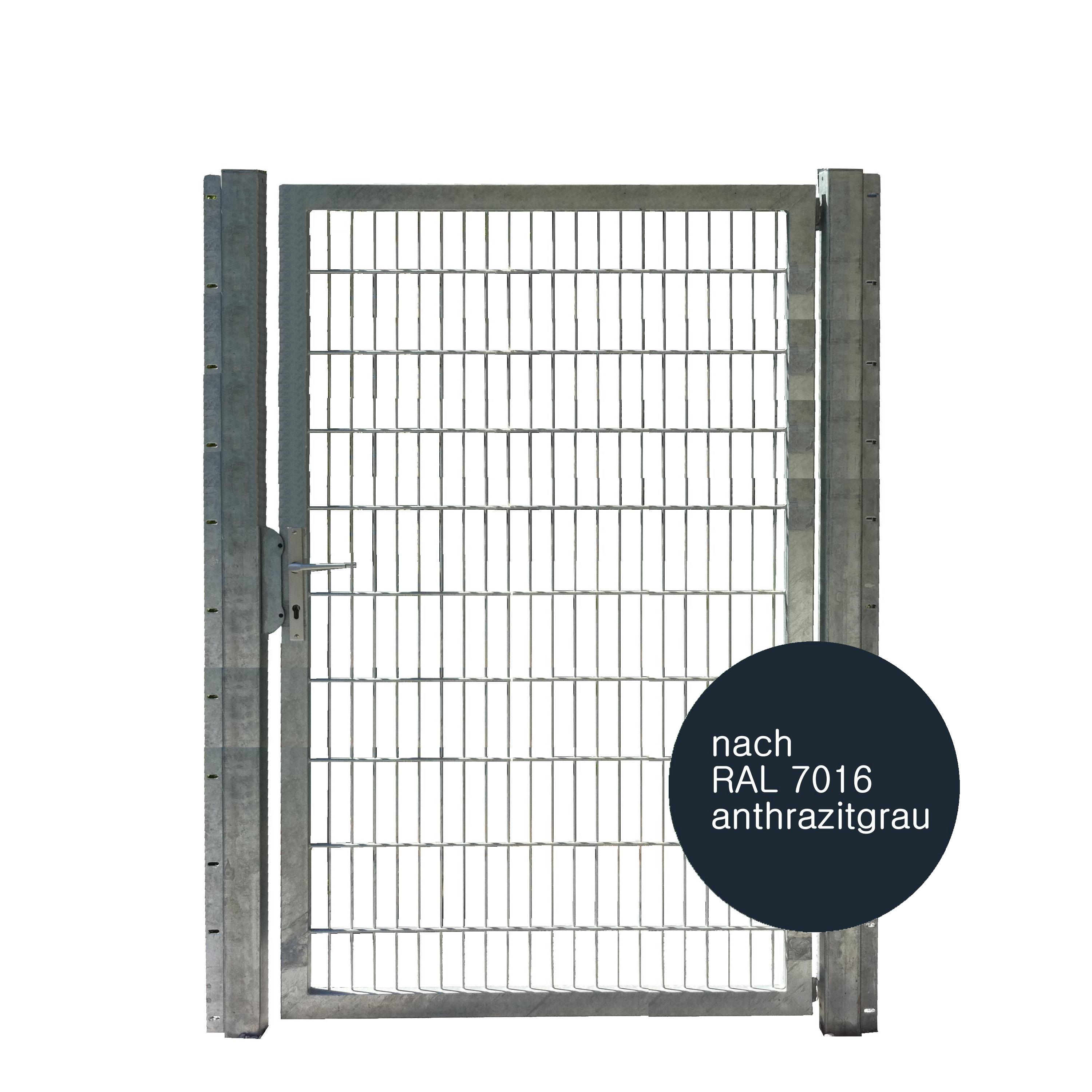 Tor 1-flgl. 1250x2000 mm anthrazit, IGT Vario