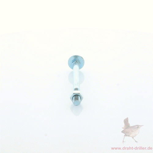Schlossschraube M08 x 100 mm TG verzinkt mit Mutter