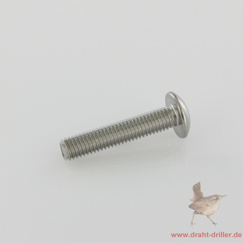 Innensechskantschraube M 08 x 040 mm V2A