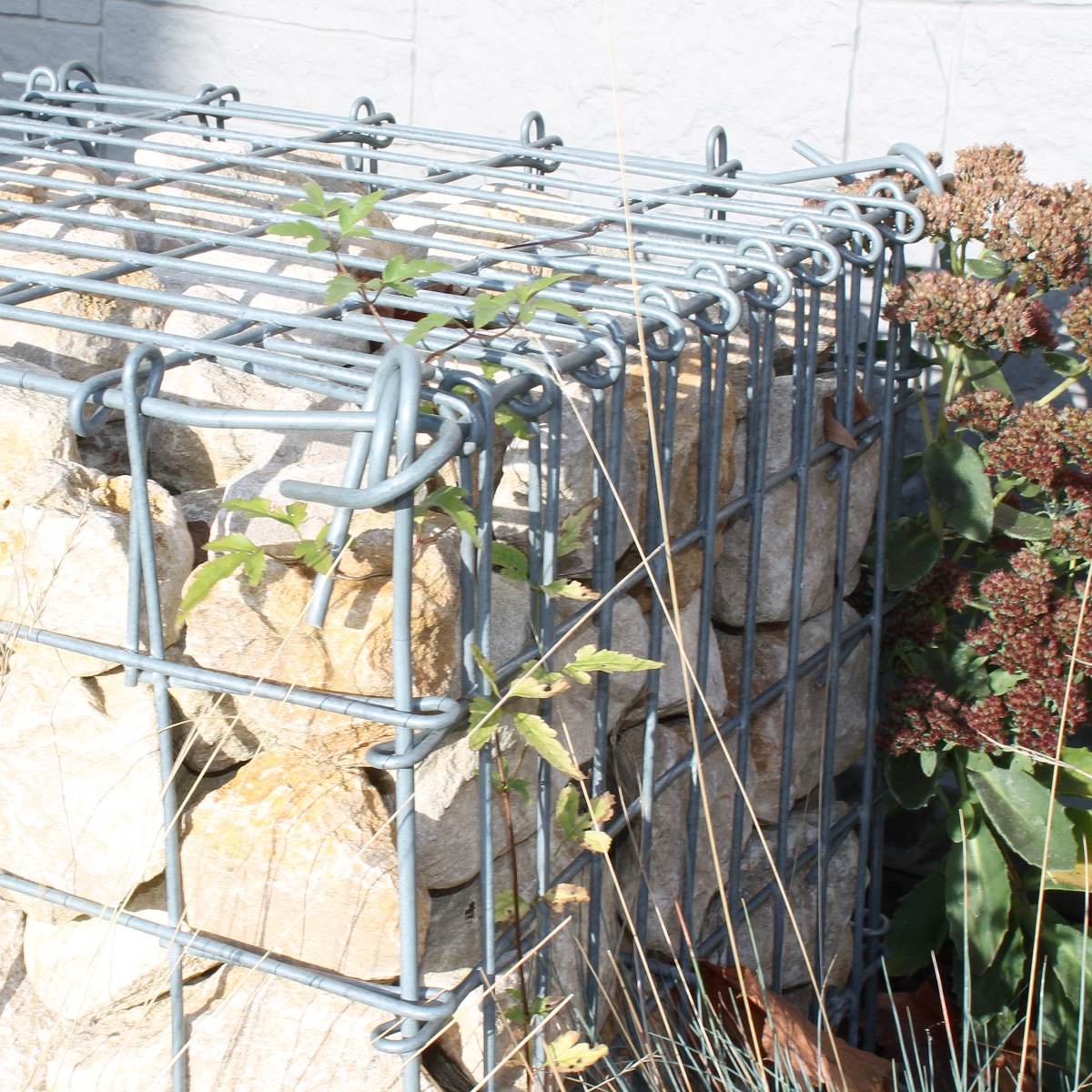 monotecR® Gabione 100x050x100 x 4,5 mm enge Front