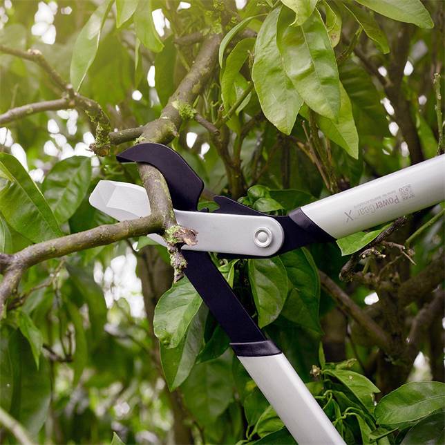 Fiskars® PowerGear X Bypass-Getriebeastschere LX98-L